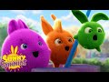 SUNNY BUNNIES - TEAMWORK | Season 7 COMPILATION | Cartoons for Kids