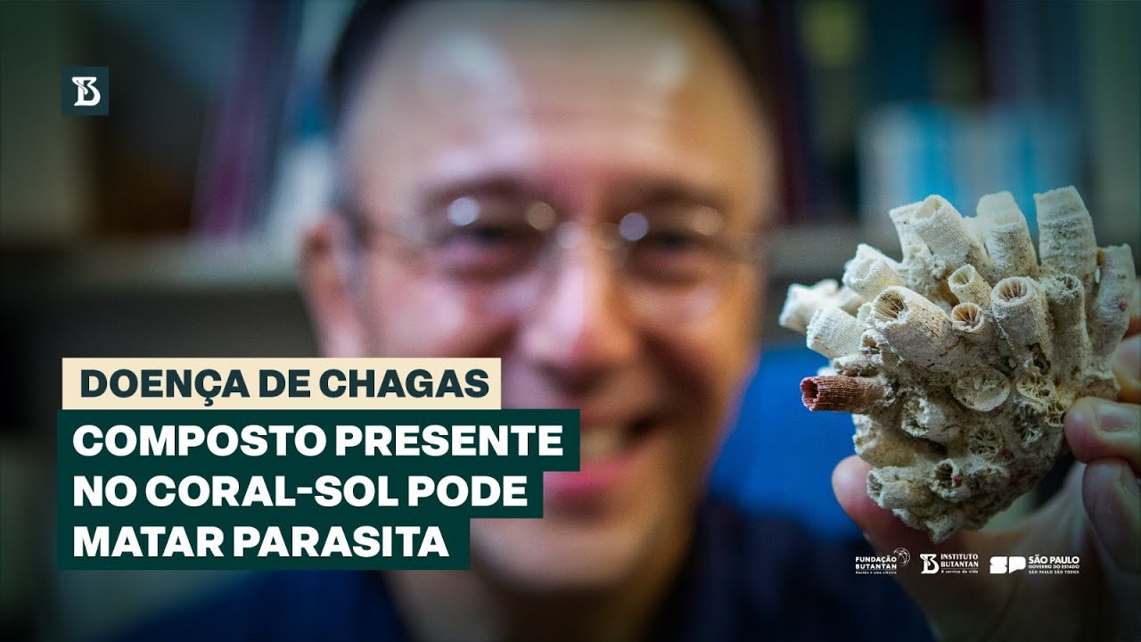 Doença de Chagas: pesquisador do Butantan identifica no fundo do mar compostos que matam parasita