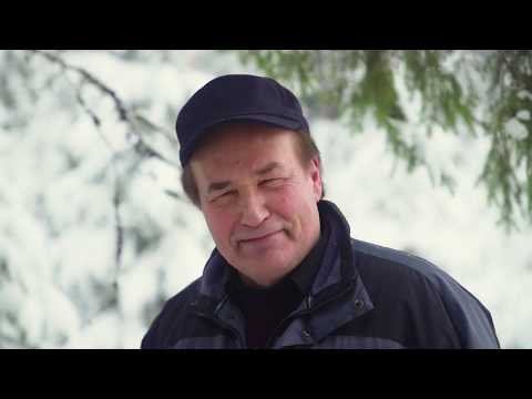 Puukaupan kulku - UPM Metsä