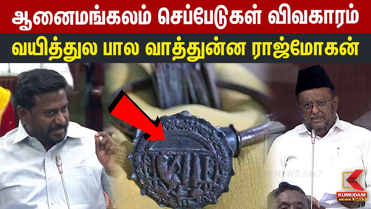 ஆனைமங்கலம் செப்பேடுகள் விவகாரம் வயித்துல பால வாத்துன்ன Rajmohan |Jawahirullah | Leiden Copper Plates