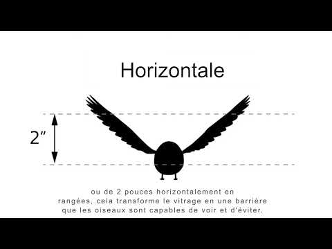 Comprendre le verre pour les oiseaux: Épisode 2 Solutions