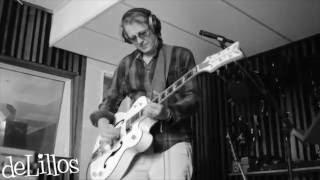 deLillos "Aldri Epleslang" | backstage