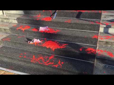 Mediafax 14 Ianuarie - Protest cu vopsea roșie și cuțite pe scările Ministerului Justiției