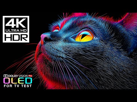 World's First 2026 OLED TEST Demo |  4K HDR 60FPS Dolby Vision (8K/4K Video TV)