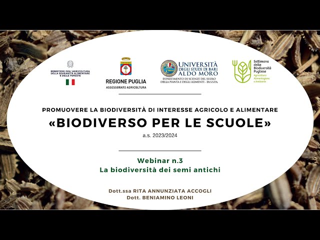 Progetto «BiodiverSO per le scuole» (a.s. 2023/2024) - Seminario n°3: Biodiversità dei semi antichi