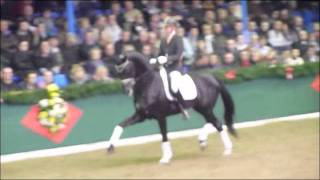 preview picture of video 'www.reitschule-sandbrink.de Edward Gal with Jack Sparrow Stallion Show Vechta 2012'