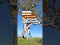 Kupang Bukan Cuma Kota Transit Kupang Ntt Indonesia Travel Hiddengems Couple Traveling