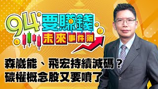 森崴能、飛宏持續減碼？碳權概念股又要噴了