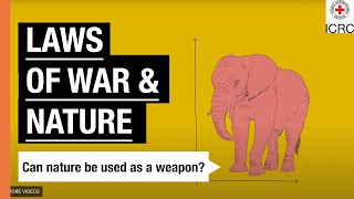 How nature is protected during conflict? | The Laws Of War | ICRC