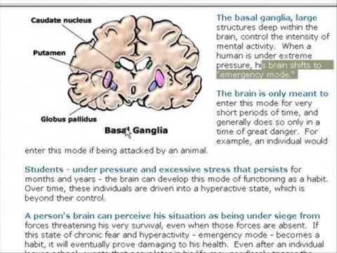 ex Goldman Sachs Trader Tells Truth about Trading   Part 1()