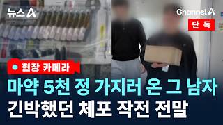 [현장카메라/단독]우체국서 잡은 마약 5천 정…운반범 검거 순간 / 채널A / 뉴스A