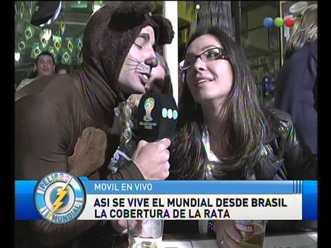 Coverage of the Rat in Brazil - Global Danger