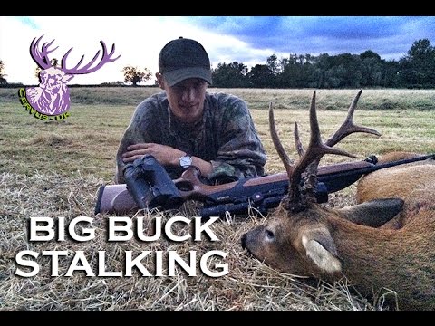 MEDAL CLASS TROPHY ROEBUCK HUNT