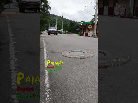 Pajarito - Boyacá (6:02 a.m.) (Mayo 18/2026)