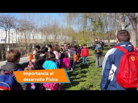 Video Youtube CEIP Alto Aragón