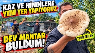 KAZ VE HİNDİLERİN YENİ YERLERİNİ YAPIYORUZ