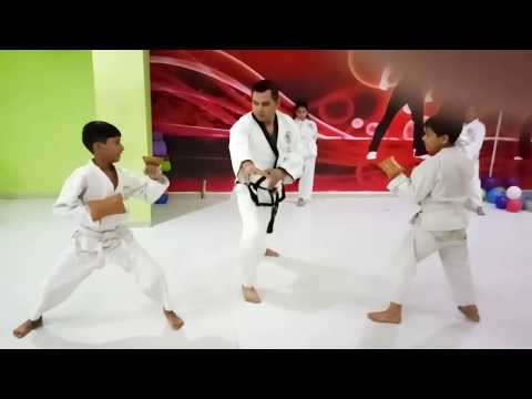 Black Panther Karate Tai Kyu Do Martial Arts