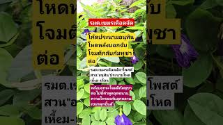 Download lagu #remix #dj #edm #music #sound #automobile #plants #colonelkkjϟ #thaifood #mindset mp3 Download lagu #remix #dj #edm #music #sound #automobile #plants #colonelkkjϟ #thaifood #mindset mp3