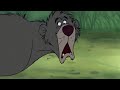 Baloo Vs Shere Khan The Jungle Book 1967