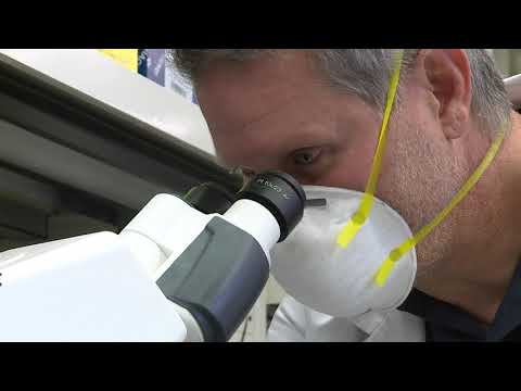 PAÍS Computational Genomics & Technology