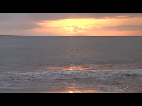 DJ Michael E / Late Night Alumni - This Is Why  *k~kat chill café*