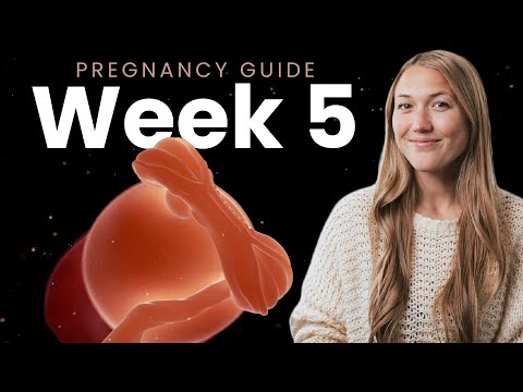 5 Weeks Pregnant | Week By Week Pregnancy