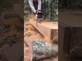 How To Cut Wood Into Planks For Beginners Chainsaw Stihl Gaschainsaw Treecut Wood Woodmaterial