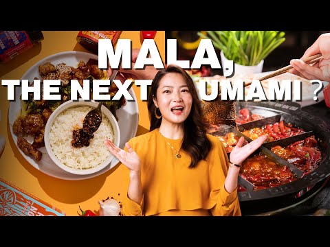 Hotpot Queen Sparks Mala Revolution Globally