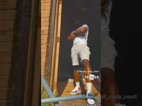 19 Wolf Music Video