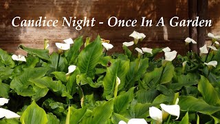 Candice Night - Once In A Garden  (Lyrics)