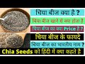 चिया बीज क्या है चिया बीज के फायदे Chia Seeds 