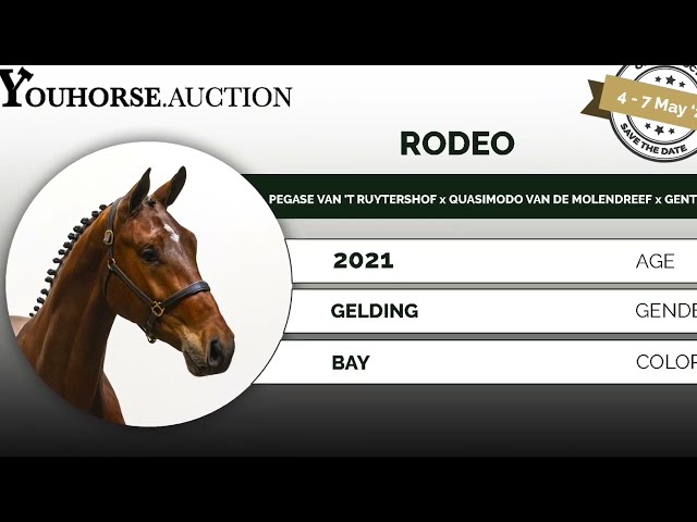 Rodeo under the saddle