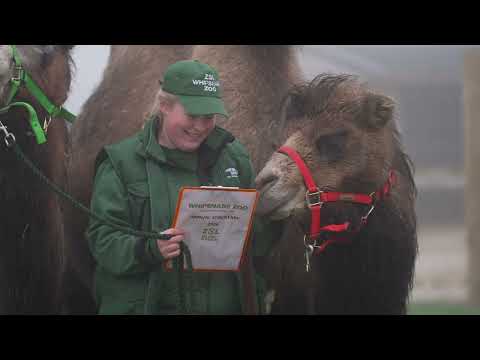 Whipsnade Zoo kicks off ZSL’s 200th anniversary with annual animal count