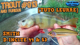 Miniature de la vidéo Pêche de la truite au leurre D-Incite 44