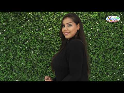 Walking Stick with Folding Stool - Electronic