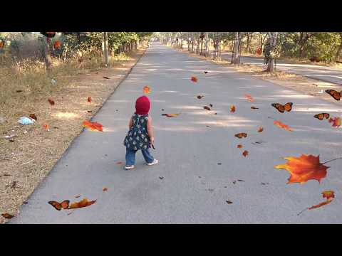 Babies Morning Walking for the First Time Compilation