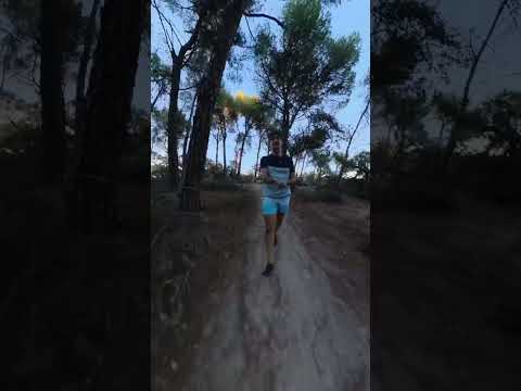 Caminar descalzos 30 minutos al día.