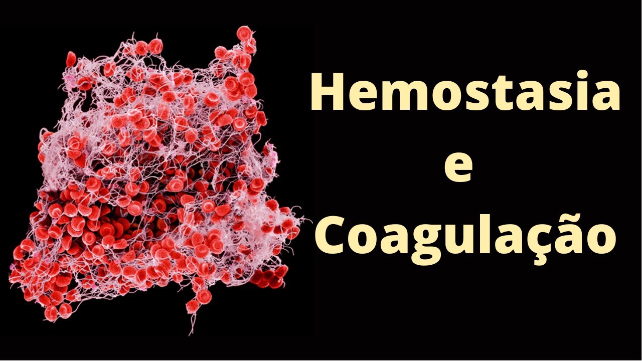 Coagulação sanguínea e hemostasia - Fisiologia Humana
