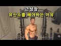 유산소효과(유산소해야하는이유)