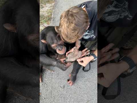 Helping My Friend With A Foot Splinter