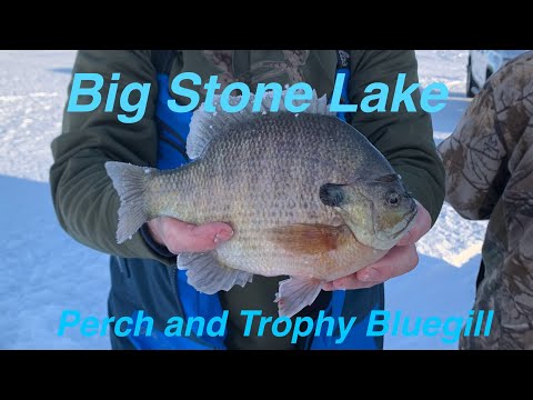 Big Stone Lake Seasonal Ice Fishing Patterns (Perch and Big Bluegill)