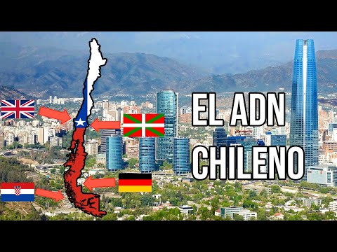 The ORIGIN of the CHILEANS
