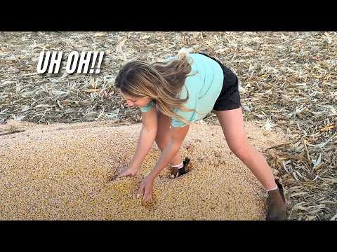 Grain Cart Girl Makes a HUGE Mistake on Her First Day