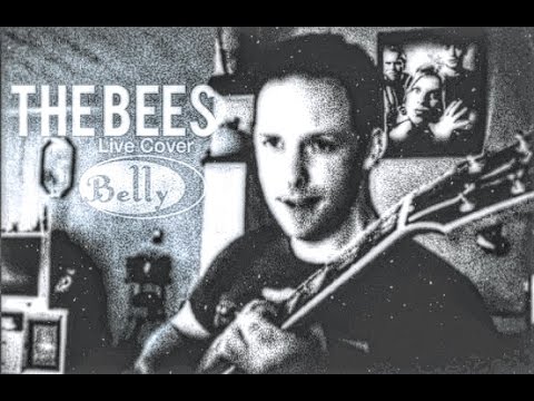Thumbnail for Belly - The Bees (Live Cover) by Tanya Donelly