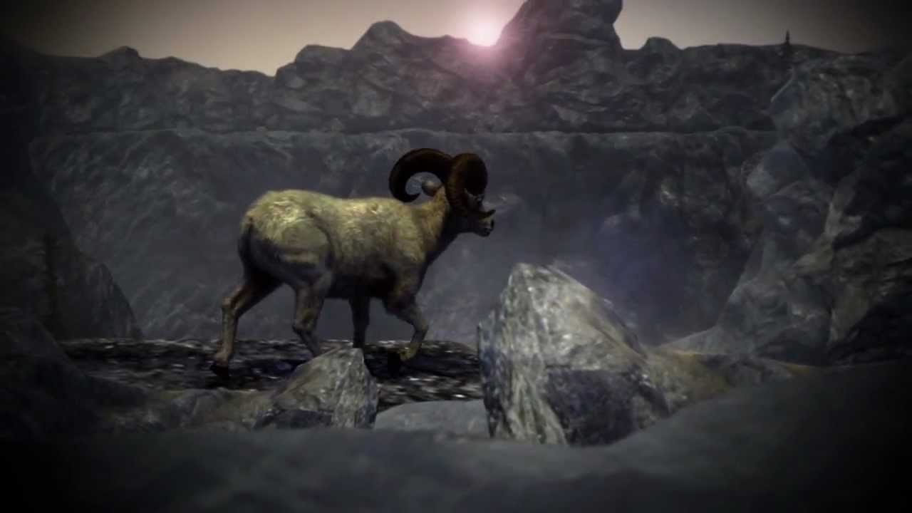 instal the new for ios Hunting Animals 3D instal the new for ios Hunting Animals 3D