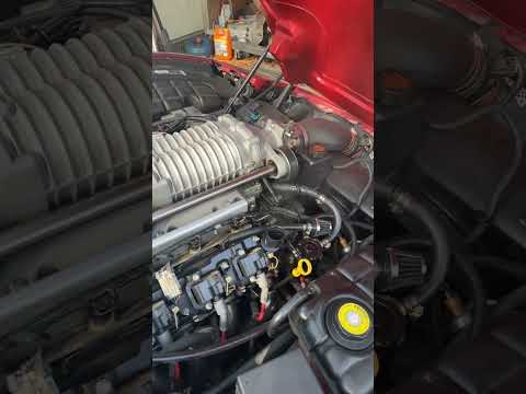 Blow FLRY-B 0.35 kabelis mėlynas video