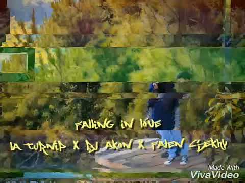 Falling In Love La Turnip X Bj Akon X Falen Sekhy