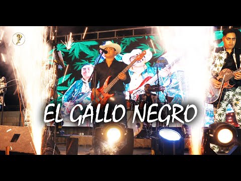 EL GALLO NEGRO -  RUBEN LOPEZ Y SU INICIATIVA NORTEÑA - En Vivo