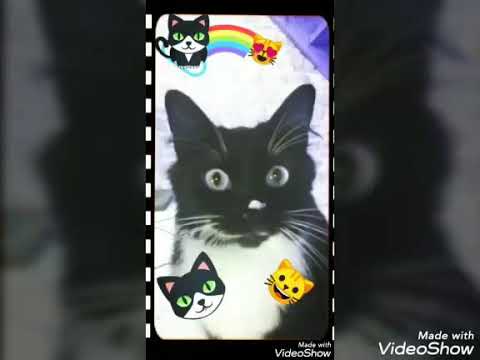 Lego. L'aventure sur l'île de koko Lanta.