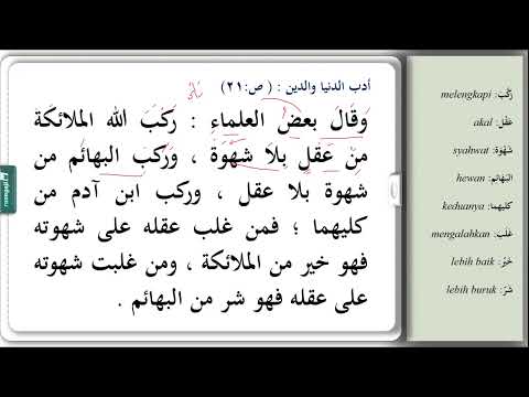 READING & TRANSLATING THE YELLOW BOOK || STRUCTURE OF ANGELS, HUMANS AND ANIMALS